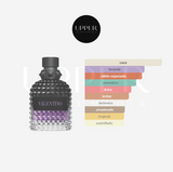 Notas olfativas de Valentino Uomo Born In Roma Purple Melancholia hombre. Encuéntralo en Perfumería Upper.