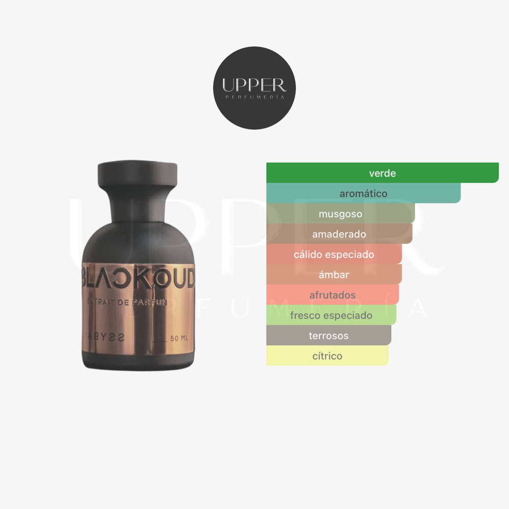 Notas olfativas de Blackoud Abyss Extrait de Parfum con especias oscuras, maderas preciosas, ámbar y almizcles sofisticados