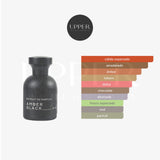 Notas olfativas de Blackoud Amber Black Extrait de Parfum con ámbar, especias cálidas, maderas nobles y resinas orientales