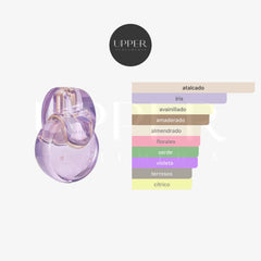 Notas olfativas de Bvlgari Omnia Amethyste Eau de Toilette con pomelo rosado, iris, rosa búlgara y heliotropo