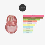 Notas olfativas de Bvlgari Omnia Coral Eau de Toilette con bayas de goji, hibisco, granada y cedro