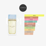 Notas olfativas de Dolce & Gabbana Light Blue EDP con limón siciliano, bergamota, frangipani, canela y amberwood
