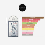 Notas olfativas de Lattafa New York The City of Dreams unisex. Encuéntralo en Perfumería Upper.