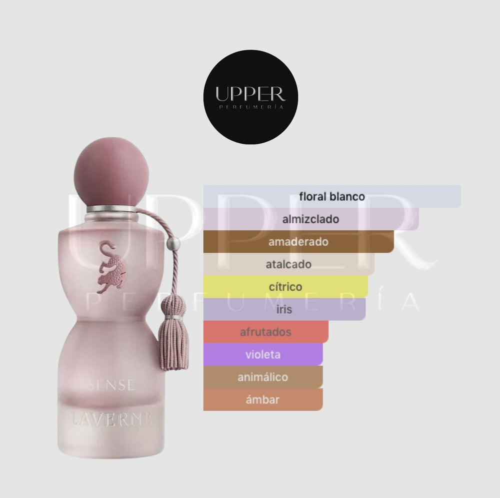 Notas olfativas de Laverne Sense By Georgina Rodríguez EDP con grosella negra, mandarina, jazmín, iris, flor de azahar, madera de cachemira y almizcle