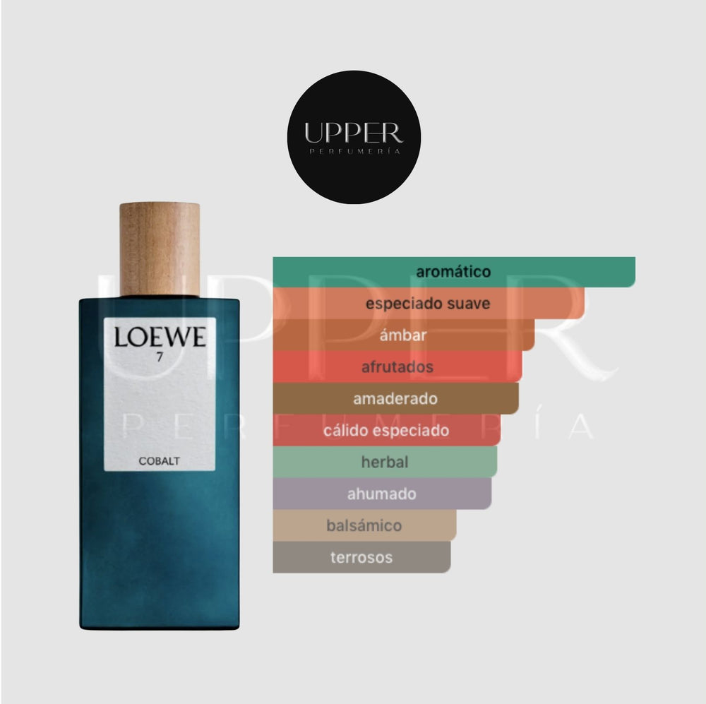 Notas olfativas de Loewe 7 Cobalt EDP con salvia, grosella negra, pimienta rosa, clavo de olor, incienso, vetiver y haba tonka