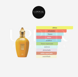 Notas olfativas de Xerjoff Erba Gold unisex. Encuéntralo en Perfumería Upper.
