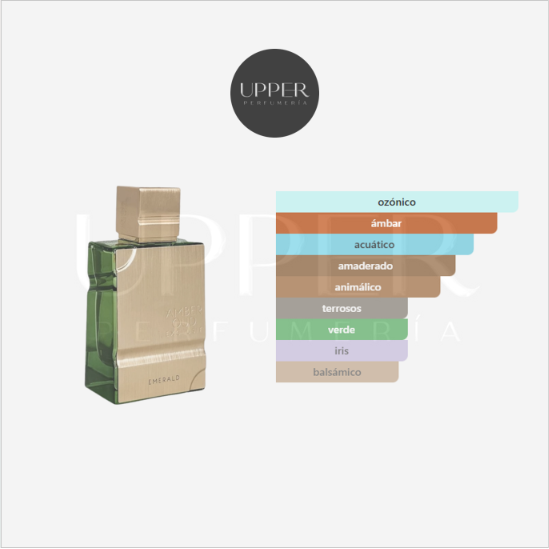 Notas olfativas de Al Haramain Amber Oud Exclusif Emerald Eau de Parfum con bergamota, mandarina, té verde, cedro y almizcle