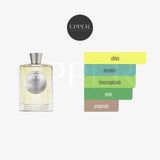 Notas olfativas Atkinsons Mint & Tonic EDP Unisex
