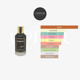Notas olfativas de Bharara Onyx Eau de Parfum con cítricos frescos, especias aromáticas, maderas nobles y ámbar