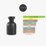 Notas olfativas de Blackoud Pyxis Extrait de Parfum con bergamota, jengibre, maracuyá, ámbar y vetiver