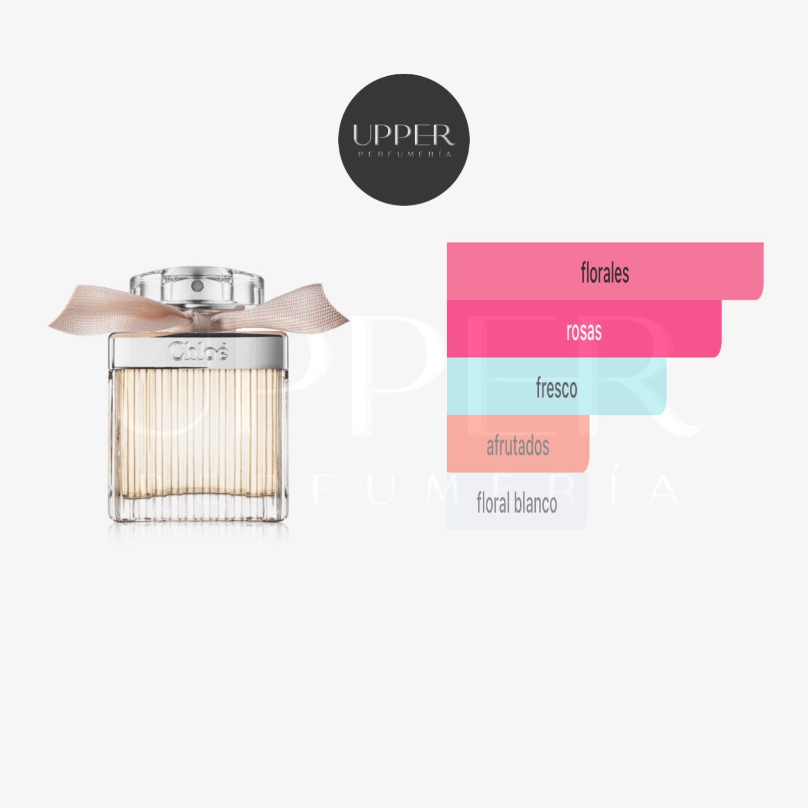 Notas olfativas Chloé Chloé EDP Mujer