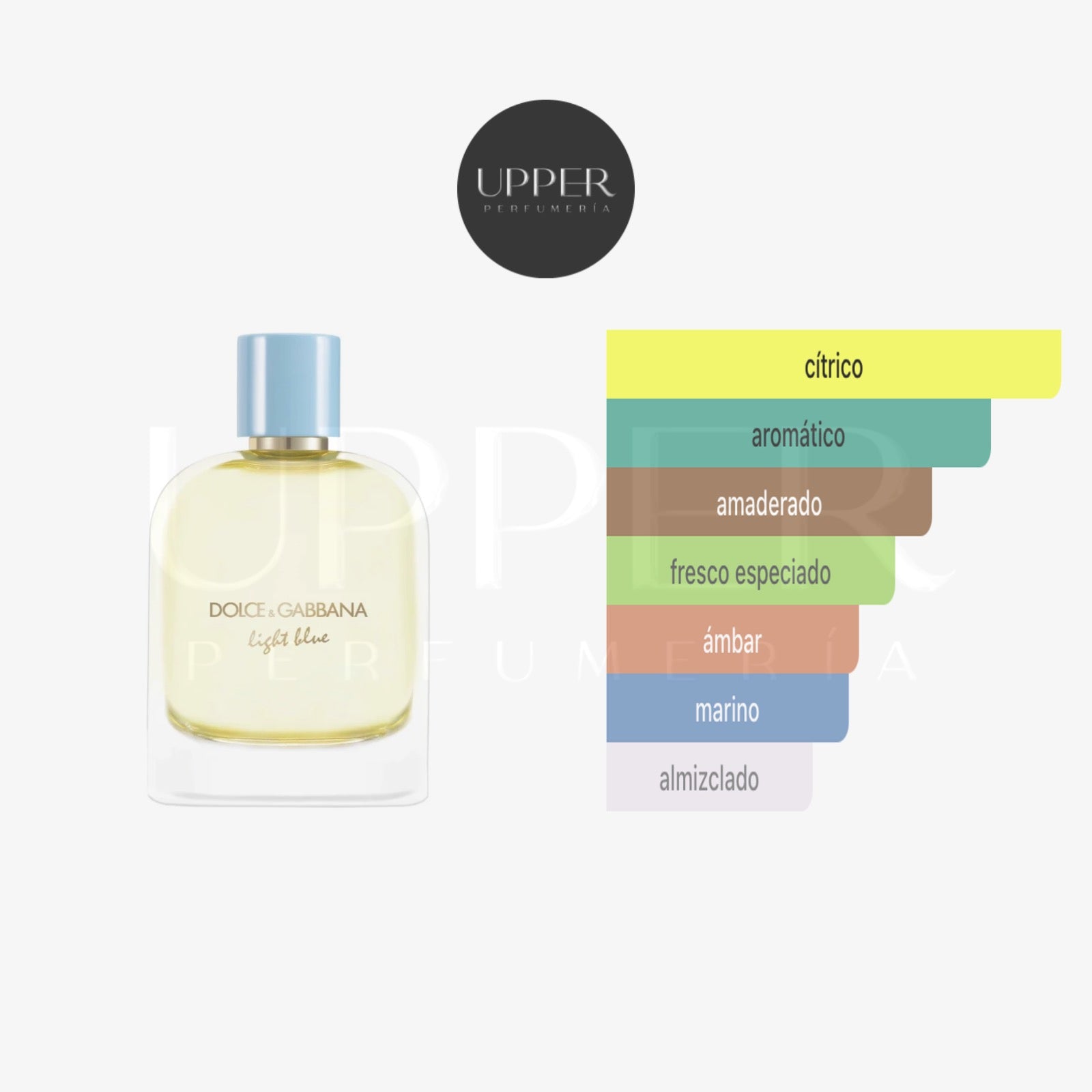 Notas olfativas Dolce&Gabbana Light Blue Pour Homme EDP Hombre