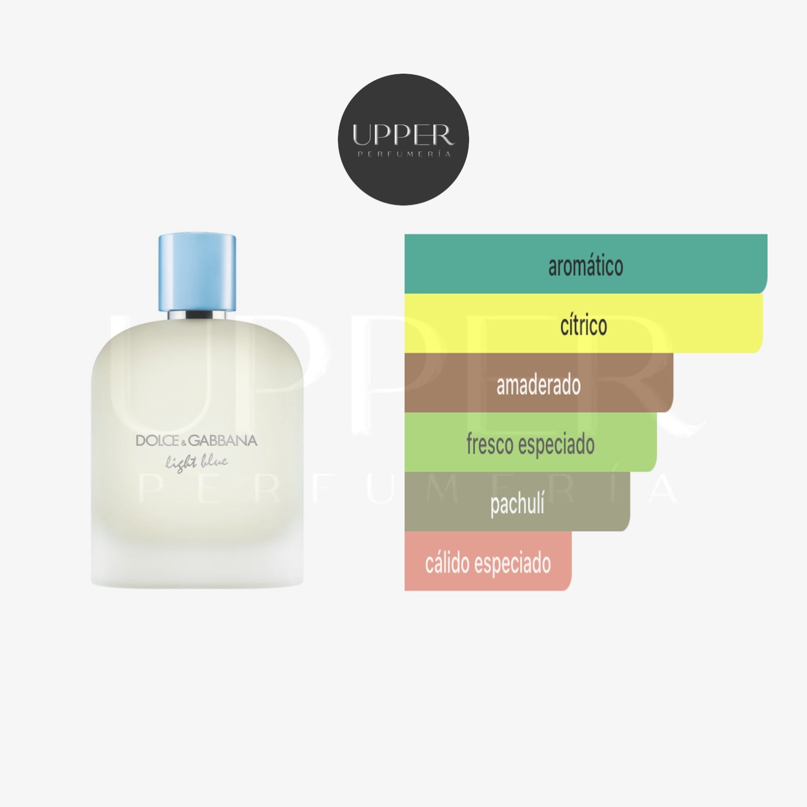 Notas olfativas de Dolce & Gabbana Light Blue Pour Homme Eau de Toilette con toronja, romero, incienso y almizcle