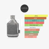 Notas olfativas de Dumont Nitro Elixir Eau de Parfum con bergamota, manzana, praliné y haba tonka