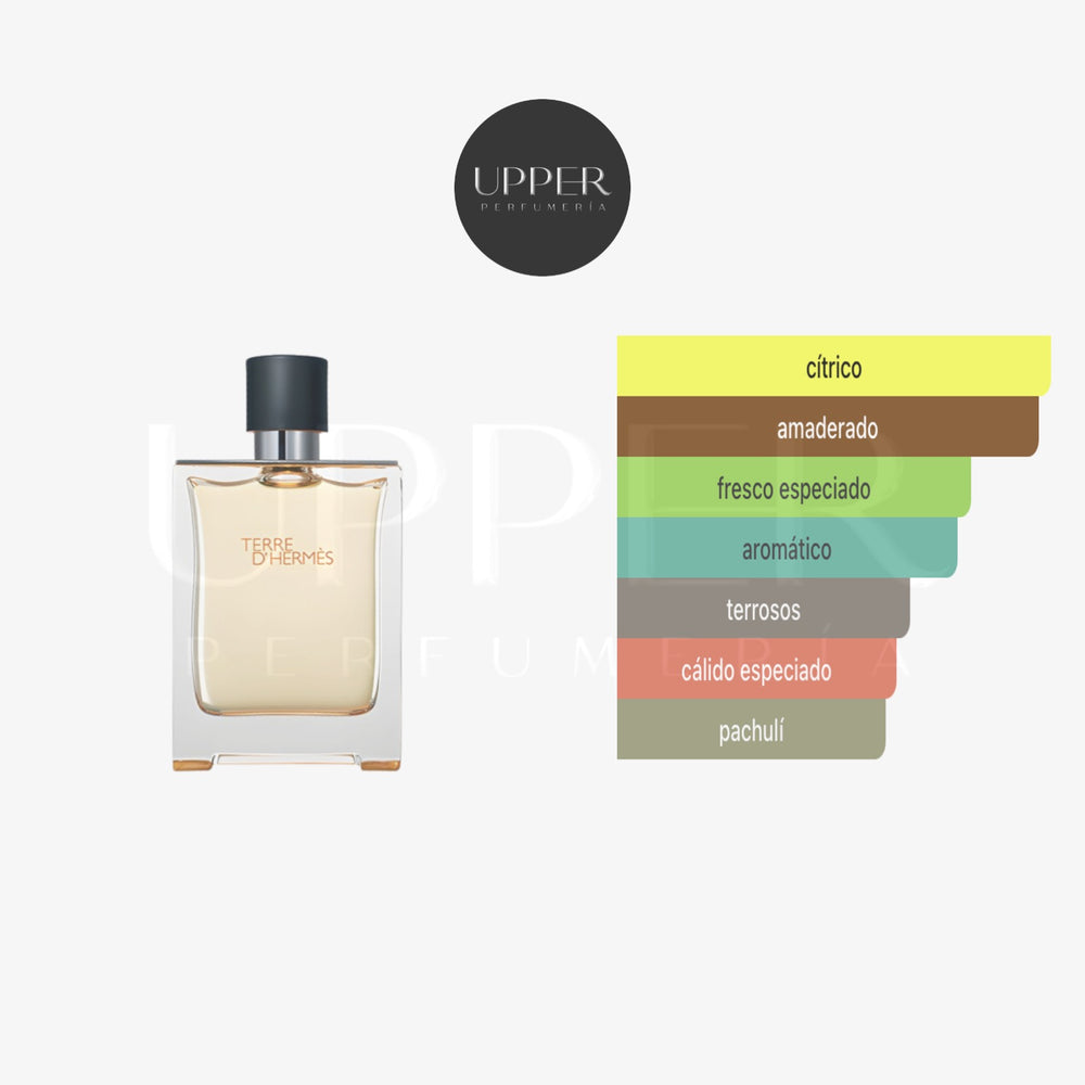 Notas olfativas de Hermès Terre d’Hermès EDT con naranja, toronja, pimienta, cedro, vetiver y pachulí