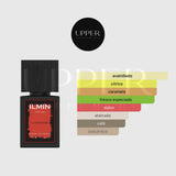 Notas olfativas de Ilmin Il Orgasme Extrait de Parfum con toronja, bergamota, naranja, grosellas negras, café, flores, especias, vainilla, caramelo, ámbar y tabaco