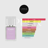 Notas olfativas de Ilmin Il Roso Extrait de Parfum con mandarina, ruibarbo, bergamota, rosa, jazmín, nuez moscada, cedro, almizcle blanco, ámbar, incienso, vetiver y vainilla