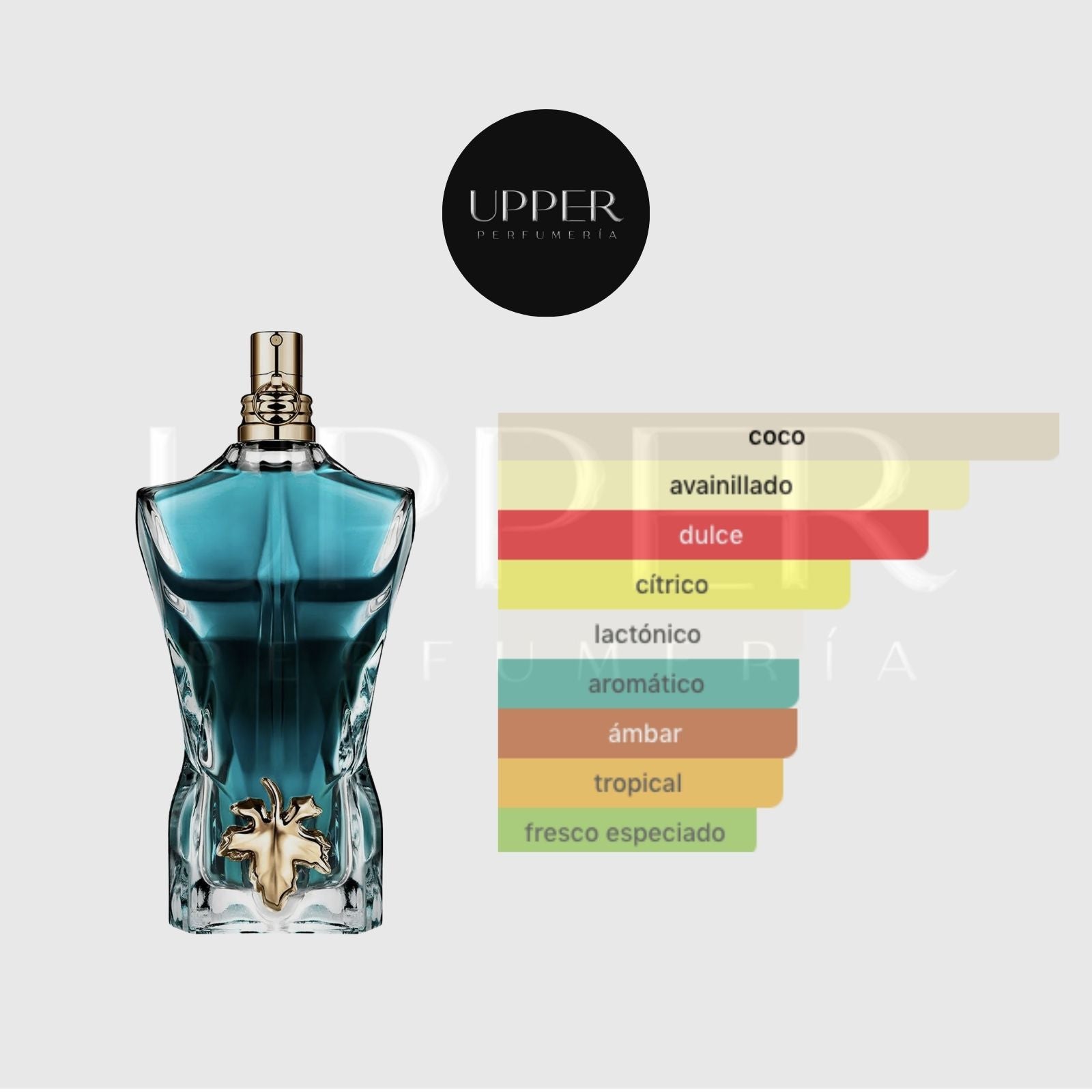 Notas olfativas de Jean Paul Gaultier Le Beau EDT con bergamota, madera de coco y haba tonka