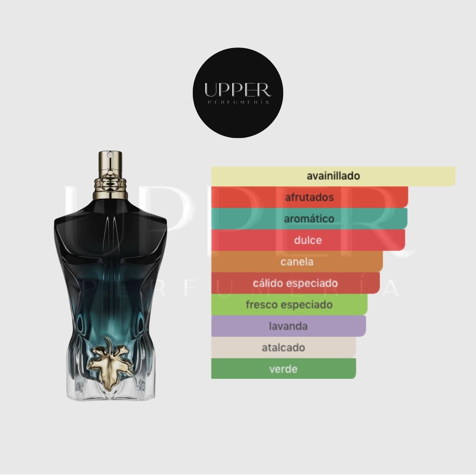 Notas olfativas de Jean Paul Gaultier Le Beau Le Parfum con piña, iris, jengibre, ciprés, coco, notas amaderadas, haba tonka, sándalo, ámbar y ámbar gris