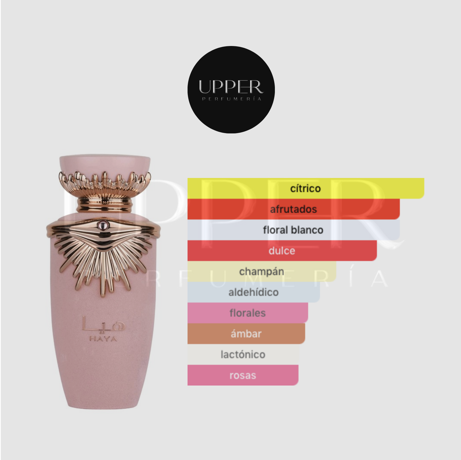 Notas olfativas de Lattafa Haya EDP con champán, fresa, mandarina, naranja sanguina, rosa, gardenia, jazmín, orquídea de vainilla, ámbar, sándalo y castaña.