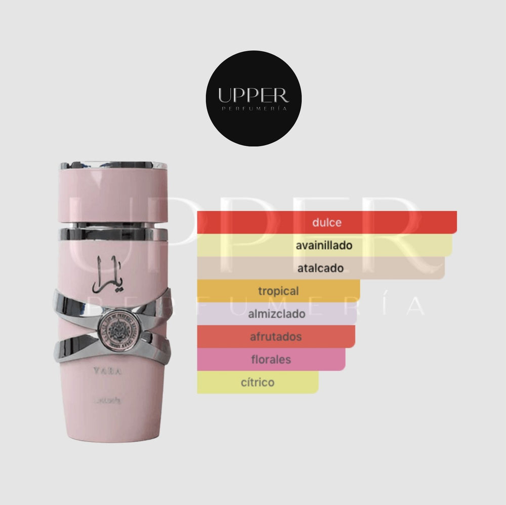 Notas olfativas de Lattafa Yara EDP con orquídea, heliotropo, mandarina, frutas tropicales, acorde gourmand, vainilla, almizcle y sándalo