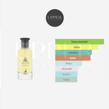 Notas olfativas de Maison Alhambra Jean Lowe Immortel Eau De Parfum hombre con jengibre, toronja, romero y ambroxan en Colombia