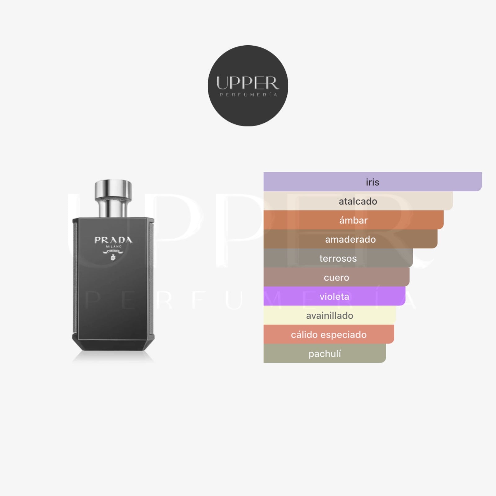 Notas olfativas Prada L'Homme Intense Hombre
