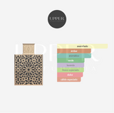 Notas olfativas de Rayhaan Elixir Eau De Parfum unisex con canela, vainilla, ámbar y haba tonka en Colombia