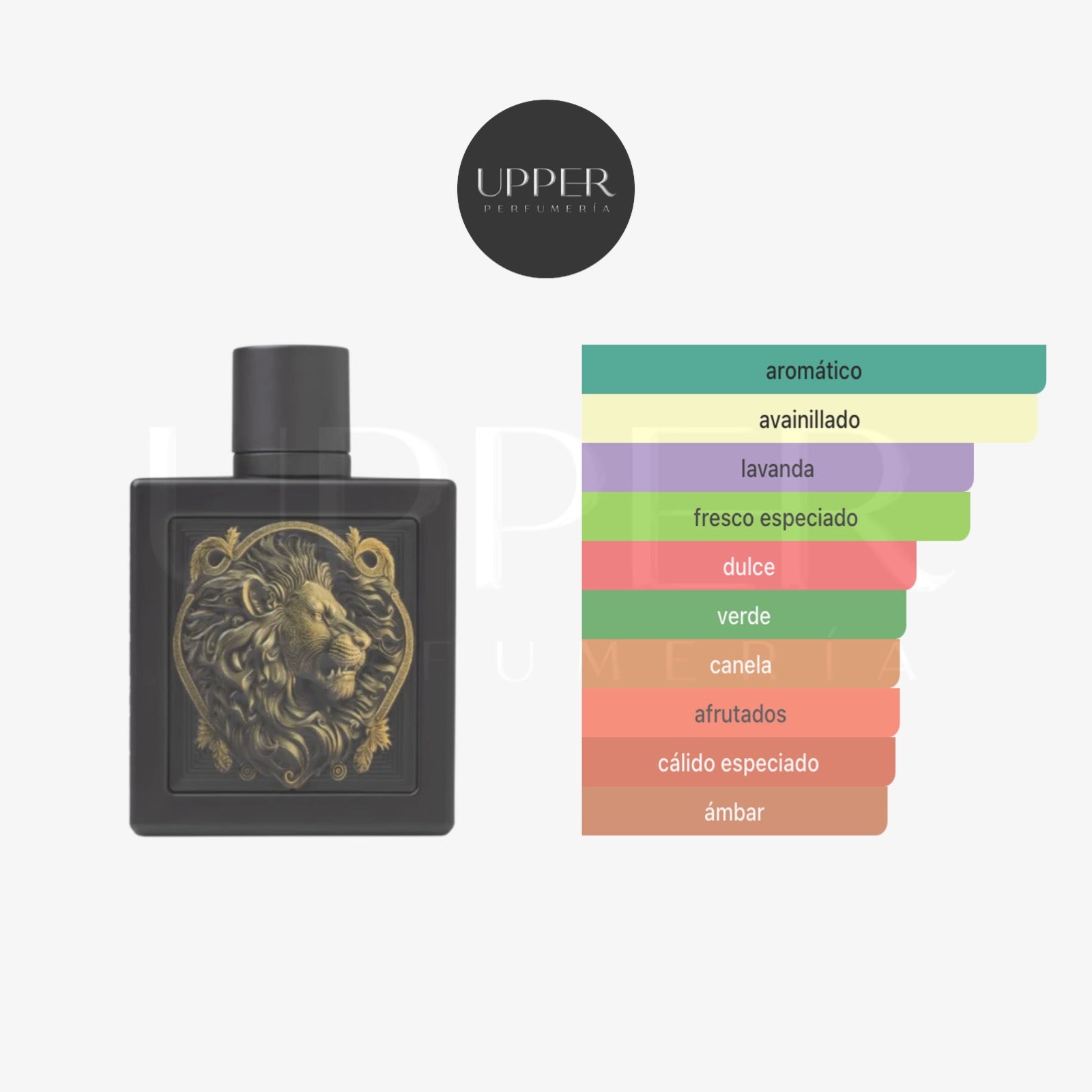 Notas olfativas Rayhaan Lion EDP Hombre